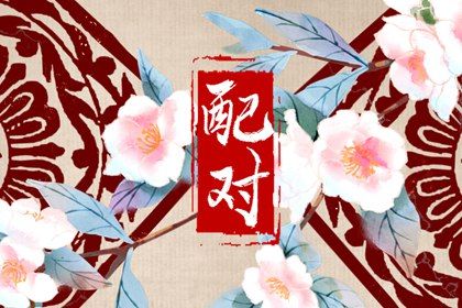 从十神看付出与边界